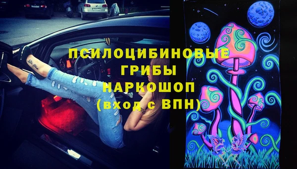 марки lsd Белокуриха