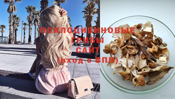марки lsd Белокуриха